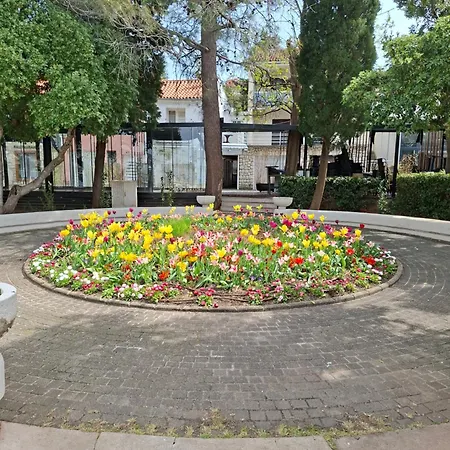 Mobile Mar Vista Selce